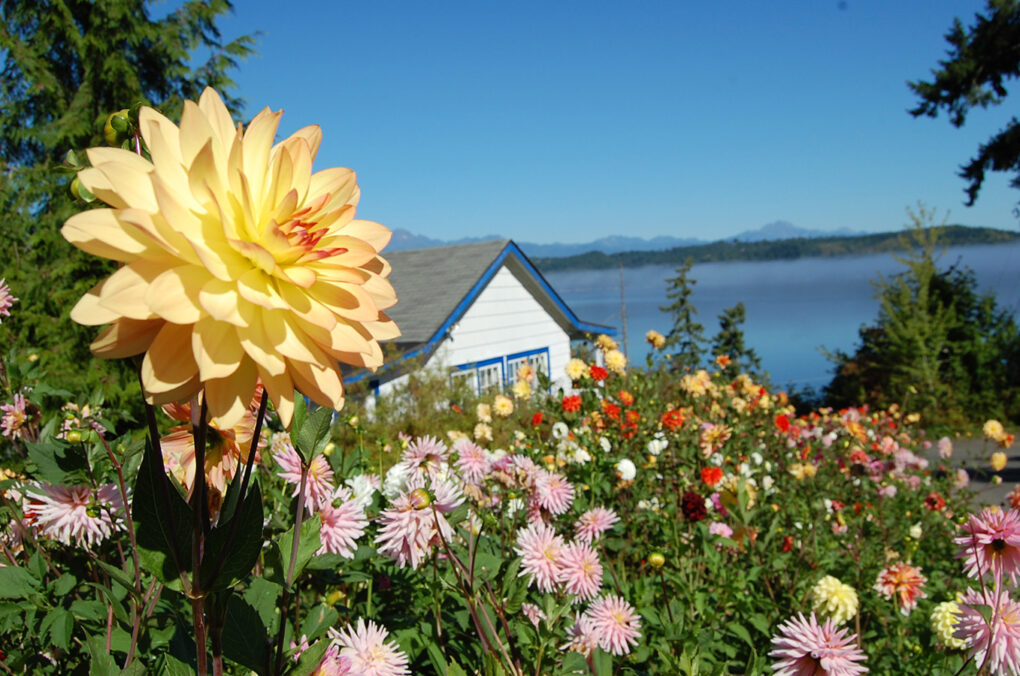 cottage sea4157 Accelerated Authenticity: Why Retreat Changes What a Clinic Cannot