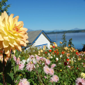 cottage sea4157 Accelerated Authenticity: Why Retreat Changes What a Clinic Cannot