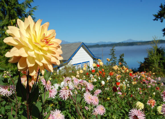 Accelerated Authenticity: Why Retreat Changes What a Clinic Cannot