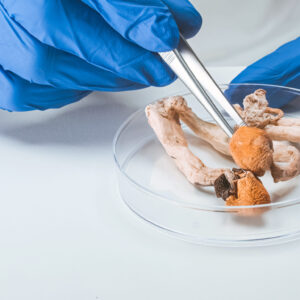 167752736_m An Emerging Area of Research in Supportive Cancer Care