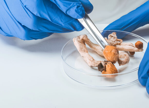 An Emerging Area of Research in Supportive Cancer Care